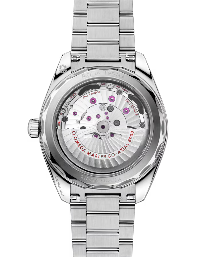 Seamaster Aqua Terra 41mm