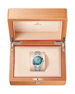 Load image into Gallery viewer, Seamaster Aqua Terra 41mm

