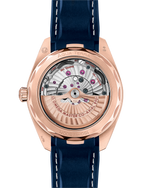 Load image into Gallery viewer, Fondello in vetro zaffiro trasparente dell’Omega Seamaster Aqua Terra che mostra il movimento automatico Co-Axial Master Chronometer calibro 8900
