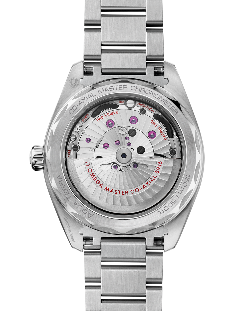 Seamaster Aqua Terra 41mm