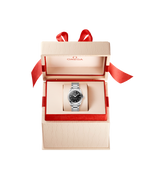 Load image into Gallery viewer, Seamaster Aqua Terra 28mm
