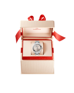 Load image into Gallery viewer, Seamaster Aqua Terra 34mm
