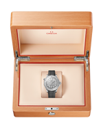 Load image into Gallery viewer, Seamaster Diver 300M

