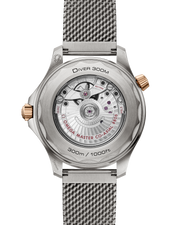 Seamaster Diver 300M