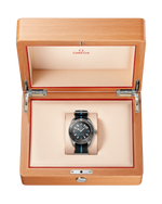 Load image into Gallery viewer, Seamaster Planet Ocean 45,5mm
