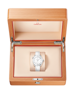 Load image into Gallery viewer, Seamaster Planet Ocean 39,5mm
