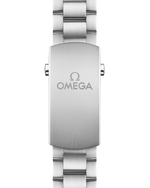 Load image into Gallery viewer, Seamaster Planet Ocean 600M
