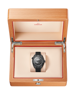 Load image into Gallery viewer, Seamaster Planet Ocean 45,5mm
