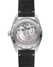 Seamaster Railmaster