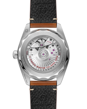 Seamaster Railmaster