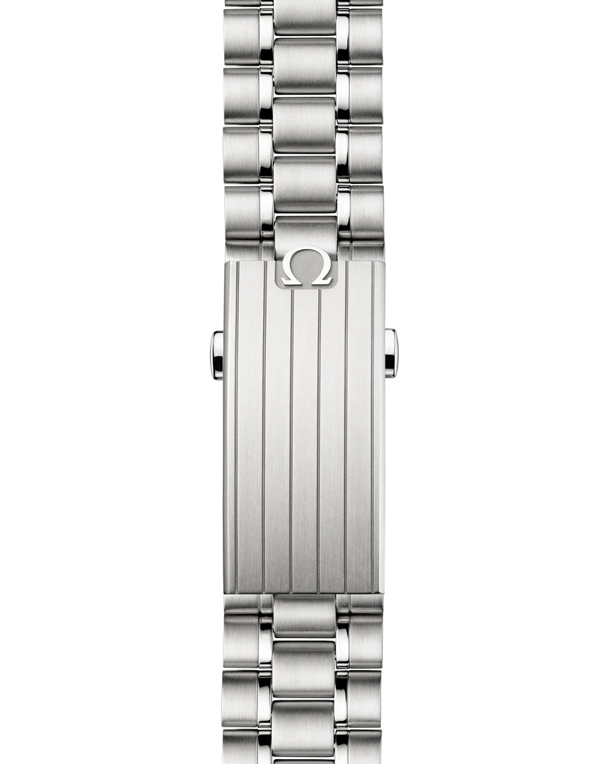 Speedmaster Moonwatch Professional
