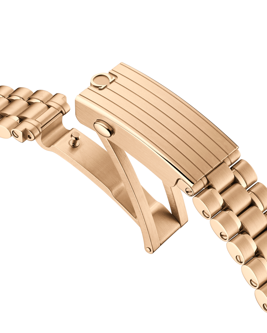 Speedmaster Moonwatch Professional 42