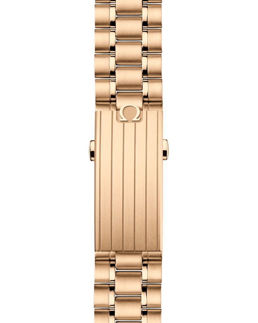 Speedmaster Moonwatch Professional 42